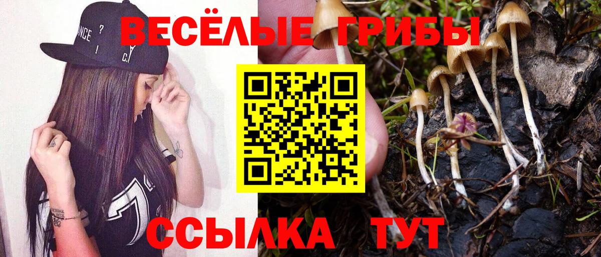 Рыбинск  Псилоцибиновые грибы MAGIC MUSHROOMS  Вход с VPN  Псилоцибиновые грибы Psilocybe 